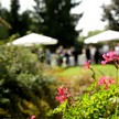 Aperitivo in giardino